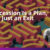 Blog_Succession