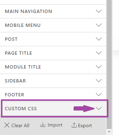 custom_css custom_css