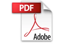 PDF FIle Type