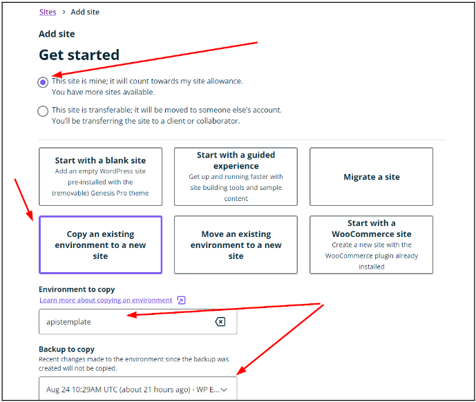 wpengine_creating_dev_env wpengine_creating_dev_env